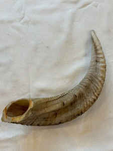 Shofar en corne de bélier poli de luxe, instrument de prière traditionnel, artisanal, décoration religieuse, objet de collection par Neha Enterprise - Product Image 5
