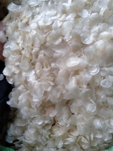 Las mejores escamas de pescado de tilapia 2024 secas al por mayor 100 puras con precio competitivo y calidad de grado en el mercado - Product Image 6