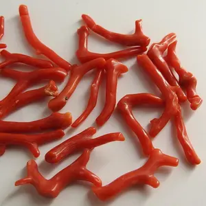 Red Coral Natural Polished Loose Rough Stick Branches Loose Raw Stone For Making Jewelry