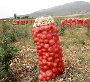 ถุงตาข่ายขนาดใหญ่แบบมีเชือกผูก ใช้ซ้ำได้ สำหรับเก็บผักผลไม้สด เช่น มันฝรั่ง ส้ม ปลาตัวเล็ก ข้าวโพด - Product Image 6