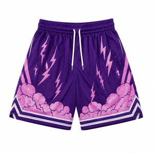 Pantalones Cortos de Malla Personalizados de Primera Calidad para Hombre, Ropa Deportiva de Lujo, Pantalones Cortos Deportivos para Baloncesto y Gimnasio, Fabricante Mayorista - Product Image 5