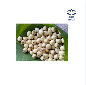 Semillas de Loto Blanco Secas Blue Lotos, Naturales de Dong Thap, Vietnam, Alta Calidad, 12 Meses de Vida Útil, Almacenamiento en Frío y Seco - Product Image 1
