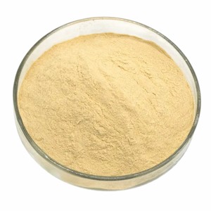 Bulk Quality Fenugreek Seed Powder Premium Grade Fenugreek Seed Powder Manufacturer Helps Maintain Healthy Metabolic Function - Product Image 5