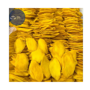 [BEST SELLER] |   Tranches de mangue séchées moelleuses, emballage en vrac |   Snacks de fruits secs tropicaux pour la vente en gros et au détail au Vietnam - Product Image 1