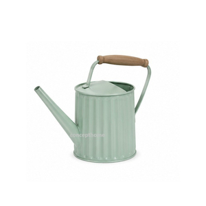 Regadera Metálica Verde Menta con Mango de Madera, Duradera para Uso en Jardinería - Product Image 1
