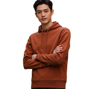 Sweat-shirts à capuche unisexes en molleton épais/éponge française 100 % coton, séchage rapide, respirants, chauds, vêtements d'hiver, marque personnalisée - Product Image 1