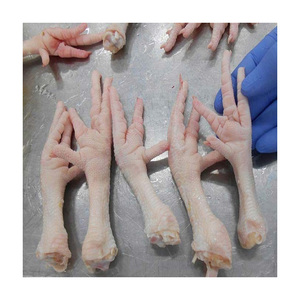 Factory Direct Frozen <b>Chicken</b> Paws available for fast handling and loading - Product Image 4