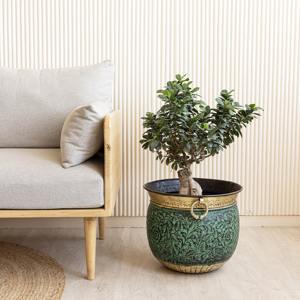 Pot de fleurs vert à motif floral avec bordure dorée, parfait pour la décoration intérieure, la présentation en cuisine, le balcon et la décoration d'événements - Product Image 5