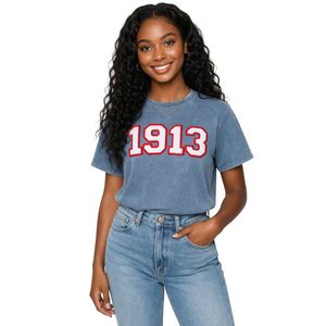 Camicia Premium in Denim Chenille Delta Sigma Theta 1913 per Donne, Vestibilità Comoda, Alta Qualità, Abbigliamento Casual per Confraternite Greche - Product Image 1