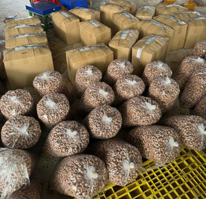 Premium Organic Vietnam Binh Phuoc Cashew <b>Nuts</b> W240 Large Size HACCP Certified Raw Top Grade Dried Export Global Markets - Product Image 4