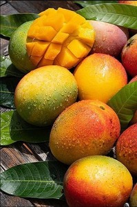 มะม่วงสดจากเวียดนาม – ผู้จัดจำหน่ายผลไม้เมืองร้อนรสหวานระดับพรีเมียม // คุณทอม - Product Image 2