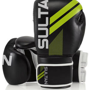Équipement de boxe de haute qualité - Product Image 1