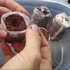 Bloque de Fibra de Coco de Vietnam, Medio de Cultivo Natural para Plantas, Hidroponía y Jardinería, Suministro al por Mayor - Product Image 5