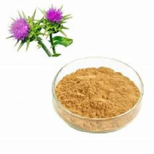 Extracto de Cardo Mariano de Buena Calidad con 80% de Silimarina, Polvo de Silimarina al 80% - Product Image 6
