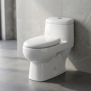 WC monobloc moderne en céramique à double chasse avec siphon en P pour projets commerciaux, immobilier et hôtellerie - Product Image 1