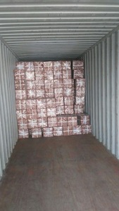 Kokos 100% หญ้าพุ่มธรรมชาติเป็นมิตรกับสิ่งแวดล้อมต้นมะพร้าวสำหรับปลูกสวนในบ้านสถานรับเลี้ยงเด็กกล้วยไม้ดอกเยอบีร่า - Product Image 6