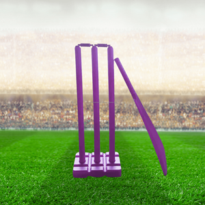 Logotipo personalizado Beach Cricket Set 2025 Negocios promocionales Merchandising Publicidad Regalos Plástico Cricket Set - Product Image 1