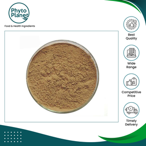 Offre exclusive sur l'extrait de plante de qualité assurée, 100% naturel et pur, poudre de Phyllanthus Niruri (Quebra Pedra) en vente - Product Image 2