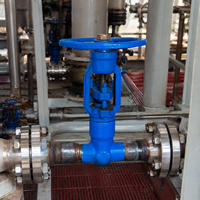 Vanne à soupape sphérique en acier forgé, classe 1500, haute pression, haute température, manuelle, à souder bout à bout, pour centrales électriques et services industriels