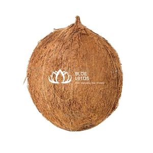 มะพร้าวแกะเปลือกสดขายดี - ผลผลิตที่เป็นมิตรต่อสิ่งแวดล้อม 100% ความชุ่มชื้นสูง และเป็นวัตถุดิบอาหารอเนกประสงค์ - Product Image 1