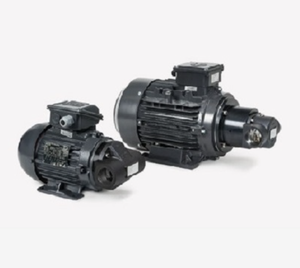 Nouvelle pompe de circulation d'huile à engrenages internes (en fonte) pour la lubrification hydraulique et les systèmes de refroidissement par filtre de bypass - Product Image 3