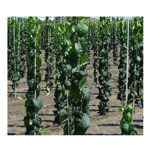 Tapered Solid Fiberglass Frp Grp <b>Plastic</b> <b>Rod</b> With Drill Hole for Fence Fiberglass <b>Rod</b> - Product Image 4