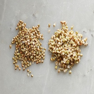 Proveedor Mayorista de Trigo Sarraceno Brasileño Tostado 100% Natural y Fresco, Paquete de 50 kg a Precio Económico - Product Image 1