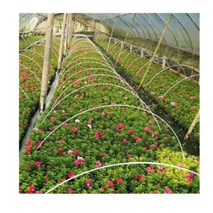 <b>Tomato</b> Plant <b>Support</b> Stake Fiberglass Rod for Agricultural for Plantation Farm Fence Post - Product Image 3