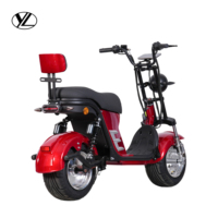 Vélo électrique pour adultes avec batterie au lithium légère