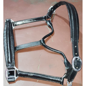 SE VENDE SHOW CUERO CABALLO HALTER INGLÉS CUERO HALTER COLOR NEGRO MARRÓN EN DÓLAR 8 TARJETA DE CRÉDITO TAMAÑO ACEPTADO PONY COB COMPLETO - Product Image 4