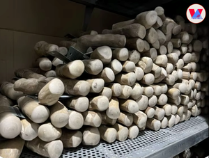 AVAILABLE Sustainable Coffee Wood Chew Stick Long Lasting Dog Toy For Boredom Relief Plaque Removal All Sizes XXS-XXL - Product Image 4