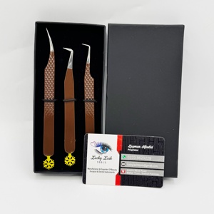 Pince à épiler professionnelle pour extensions de cils - Nouvelle conception, base en forme de boule de neige, poignée en diamant, acier inoxydable, pince à épiler personnalisée - Product Image 5