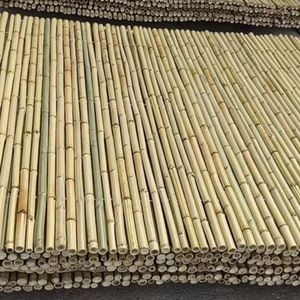 Meilleures ventes 2026 : Canne en bambou de qualité supérieure pour la construction, le soutien et la production artisanale – Surface lisse et résistante, facile à couper - Product Image 6