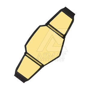 Ceinture de lutte tendance et haut de gamme 2026, taille adulte, avec plaque métallique, pour collectionneurs et fans - Product Image 2