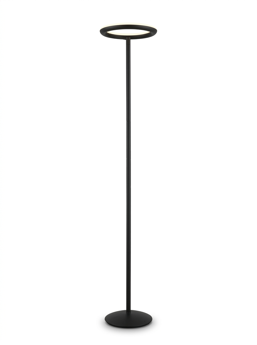 Noir