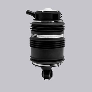 Nuova Sospensione Pneumatica Posteriore Sinistra per Mercedes Classe E W211, Compatibile con E320 E350 E500, Modello a Molla Pneumatica # A2113200725 - Product Image 2