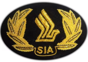 Insignia Bordada a Mano de Alta Calidad para Blazer, Insignia de Ala Personalizada para Uniforme con Pin de Seguridad, Efecto 3D en Relieve, Calidad Premium - Product Image 4