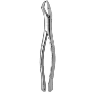 Tooth Forceps - Product Image 1