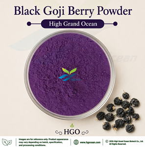 โรงงาน HGO จัดจำหน่ายโดยตรง ผงโกจิเบอร์รี่สีดำ / ผงแบล็ควูล์ฟเบอร์รี่ เกรดอาหาร อบแห้งแบบพ่นฝอย ผงโกจิเบอร์รี่สีดำอบแห้งแบบแช่เยือกแข็ง - Product Image 1