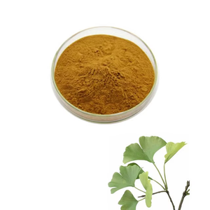 Poudre de feuilles de Ginkgo Biloba de qualité supérieure pour la santé du cerveau et le soutien de la circulation, 100 % pure, provenant d'Inde - Product Image 2
