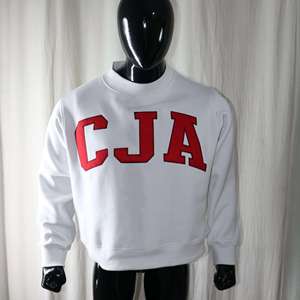 Sweat-shirt en molleton à col rond de qualité supérieure pour l'hiver, streetwear, 100% coton, broderie appliquée, unisexe, surdimensionné, FZYPS SPORTS - Product Image 2