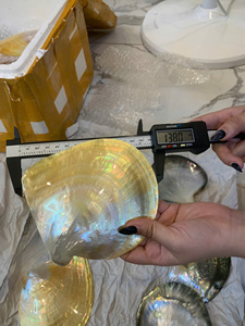 Elegante Plato de Nácar Negro, Pulido por Ambos Lados, Concha Natural, Artesanía Vietnamita, Plato Decorativo, Calidad de Exportación - Product Image 5