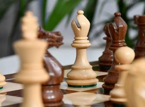 Piezas de ajedrez Staunton Serie Player 3.0 Rey en madera de Sheesham y cedro con damas adicionales al mejor precio - Product Image 3