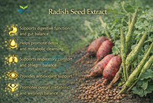 Suministro Directo de Fábrica HGO de Extracto Puro y Natural de Semilla de Rábano, Grado Alimenticio, Especificación 10:1, Extracto a Granel de Alta Calidad - Product Image 5