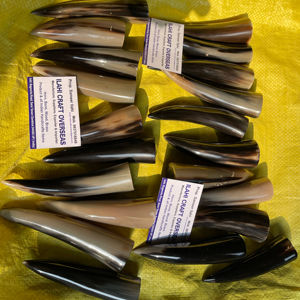 Pointe de corne de buffle naturelle, couleur naturelle, haute qualité - Product Image 1