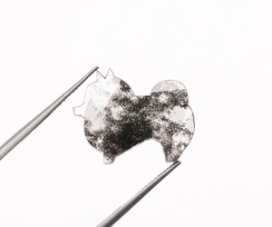 Diamante Cultivado en Laboratorio con Corte Único en Forma de Perro, 15.5x12.0mm, Color Fantasía, Perforado con Láser, Suavemente Pulido, Certificado por Terceros - Product Image 1