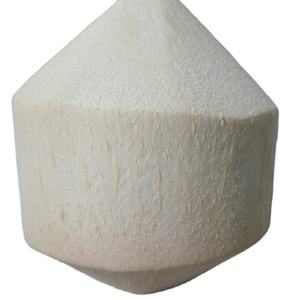 Top vente en 2022 Sweet Fresh Coco Vendeur entier de noix de coco fraîche au Vietnam - Product Image 1