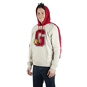 Ventes en gros de sweats à capuche d'hiver en chenille brodée pour hommes, 100% coton, surdimensionnés, séchage rapide, couleurs personnalisées, meilleure qualité, prix bas - Product Image 2