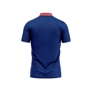 Breathable Printed Polo Shirts Active Tops Wholesale Tennis Golf <b>Cricket</b> Jerseys OEM ODM Custom Sportswear Apparel Seamless - Product Image 4