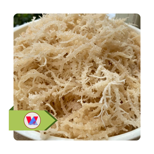 Algues Marines Séchées Sans Épine Blanches et Jaunes Dorées (Cottonii) – Ingrédient Populaire pour Boissons, Salades et Masques - Product Image 3